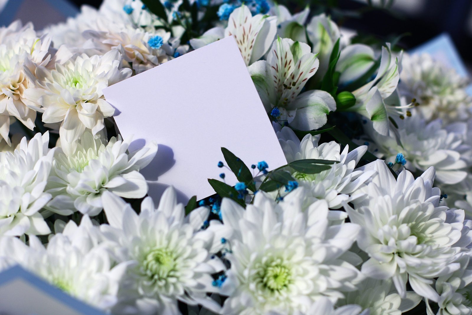Carte blanche posée sur un bouquet de chrysanthèmes et orchidées blanches