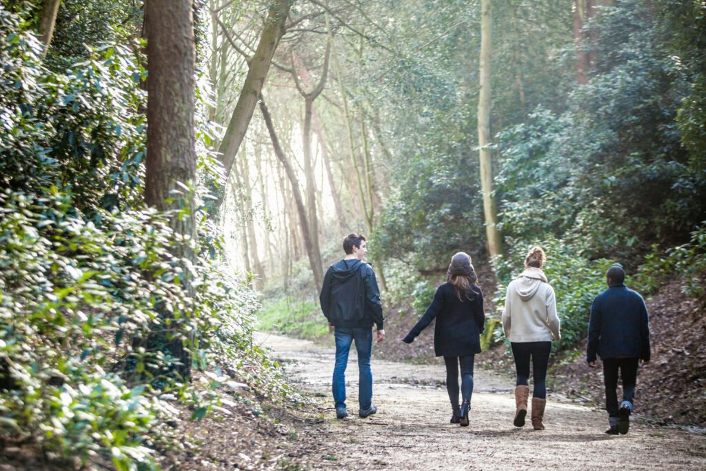 groupe d'amis qui se baladent en forêt