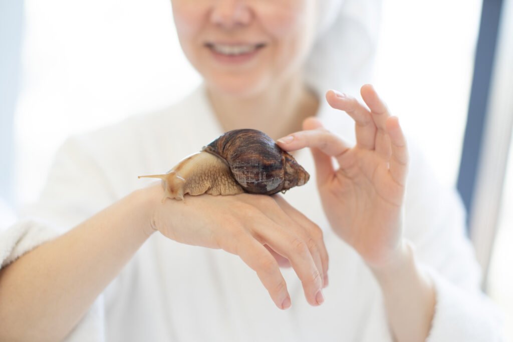 gros escargot sur une main de femme